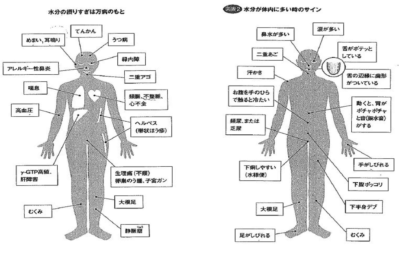 東洋医学水毒　万病の元と　体のサイン 図解